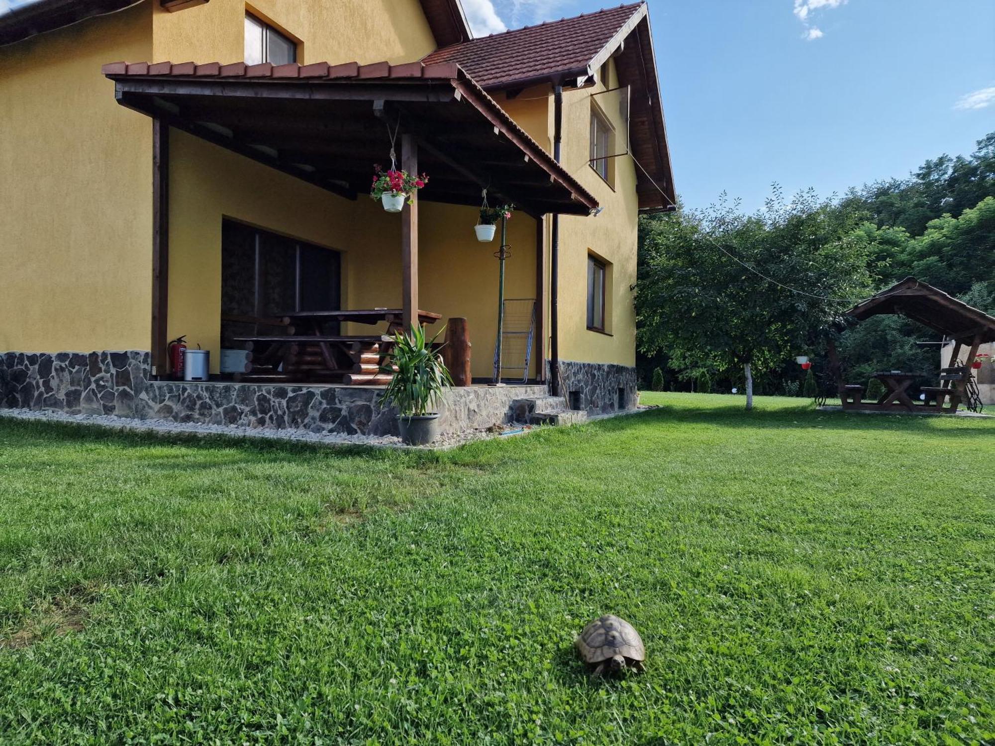 Casa Maya Szászcsór Kültér fotó